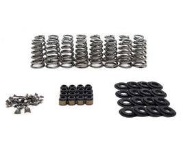 Brian Tooley Racing LT1/L86 Conical Spring Kit .650in Lift