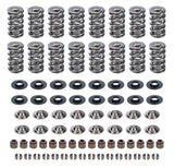 GM LS Dual Valve Spring Kit .660 Dia.