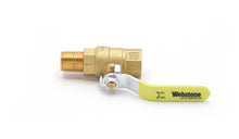 Load image into Gallery viewer, CAN24-260.jpg