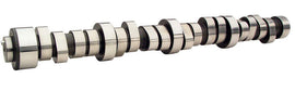 COM112-502-11.jpg