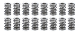 Valve Spring Set