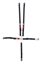 Load image into Gallery viewer, CRW11184A.jpg