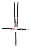 5-Pt Harness System LL Jr Pull Up Lap Belt