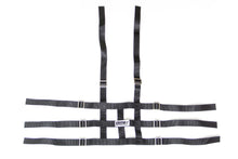 Load image into Gallery viewer, CRW11654.jpg