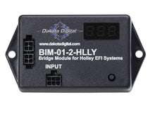 Load image into Gallery viewer, DDGBIM-01-2-HLLY.jpg