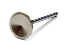 Load image into Gallery viewer, EDE9764.jpg