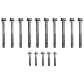 FELES72390.jpg