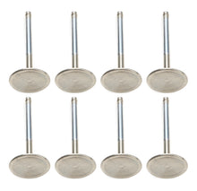 Load image into Gallery viewer, FERF6249-8.jpg