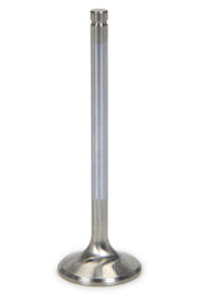 FERF6271-1.jpg