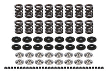 Load image into Gallery viewer, FERKT4001.jpg