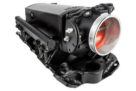 FIT38301.jpg