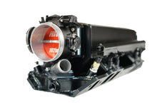 Load image into Gallery viewer, FIT38302.jpg