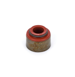 GMP12564852.jpg