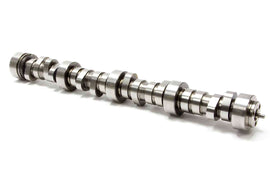 GMP12565308.jpg