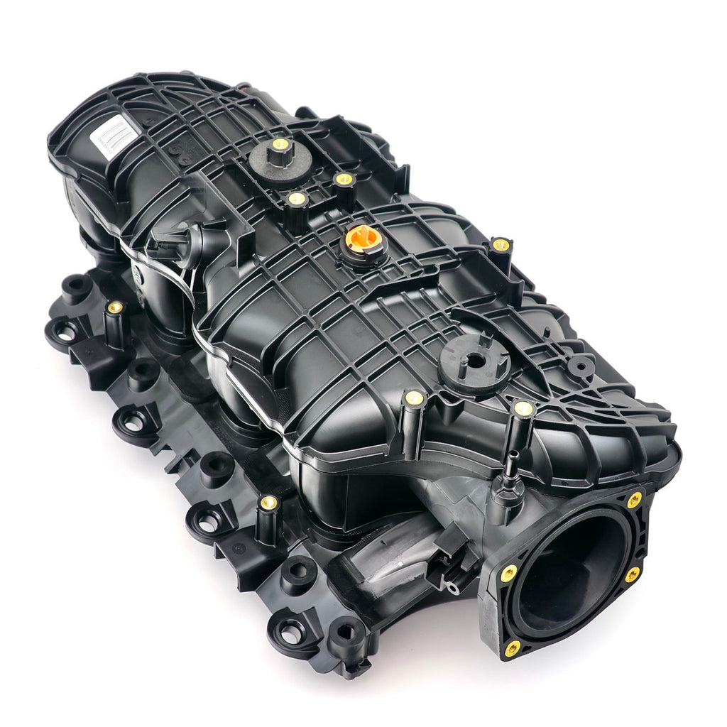 GMP12638038.jpg