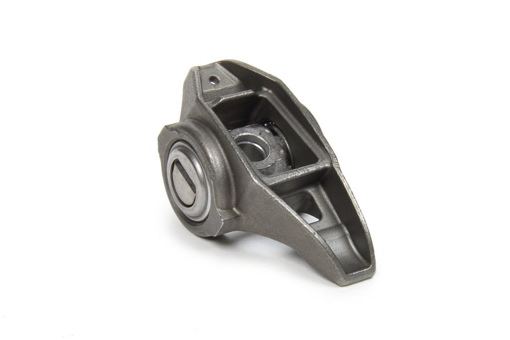 GMP12696105.jpg