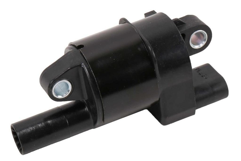 GMP12699382.jpg