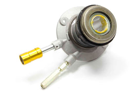 GMP24264182.jpg