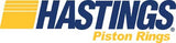 Hastings Piston Rings 2025