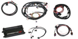 Dominator EFI Kit - LS2 Main Harness w/ Trans and DBW with EV1 Injector Harness