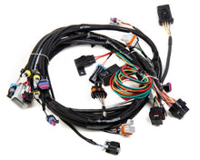 Load image into Gallery viewer, HLY558-102.jpg