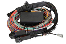 Load image into Gallery viewer, HTHHT-141304.jpg
