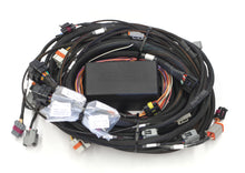 Load image into Gallery viewer, HTHHT-141362.jpg