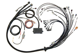 HTHHT-141376.jpg
