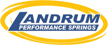 Load image into Gallery viewer, LAN100.jpg