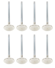 Load image into Gallery viewer, MAN11399-8.jpg