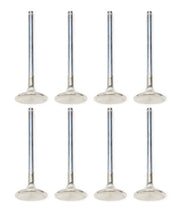 Load image into Gallery viewer, MAN11685-8.jpg