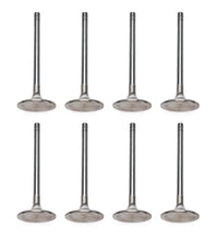 Load image into Gallery viewer, MAN11743-8.jpg