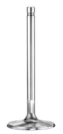 MAN11880-1.jpg