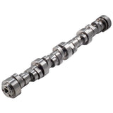GM LS Hyd Roller Cam .625/.625 234/248 @ .050