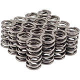 Valve Spring Set GM LS 1.295 Dual