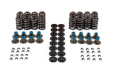 Valve Spring Kit GM LS