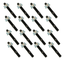 Load image into Gallery viewer, MOR38554.jpg