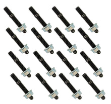 Load image into Gallery viewer, MOR38921.jpg