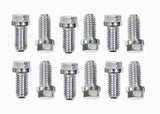 Mr. Gasket Stainless Steel Header Bolts