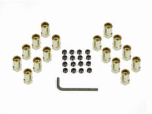 Load image into Gallery viewer, Mr Gasket Rocker Arm Nuts