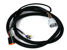 Load image into Gallery viewer, MSD Harness GM4L60-85E 93-Up (4L70 06-09)