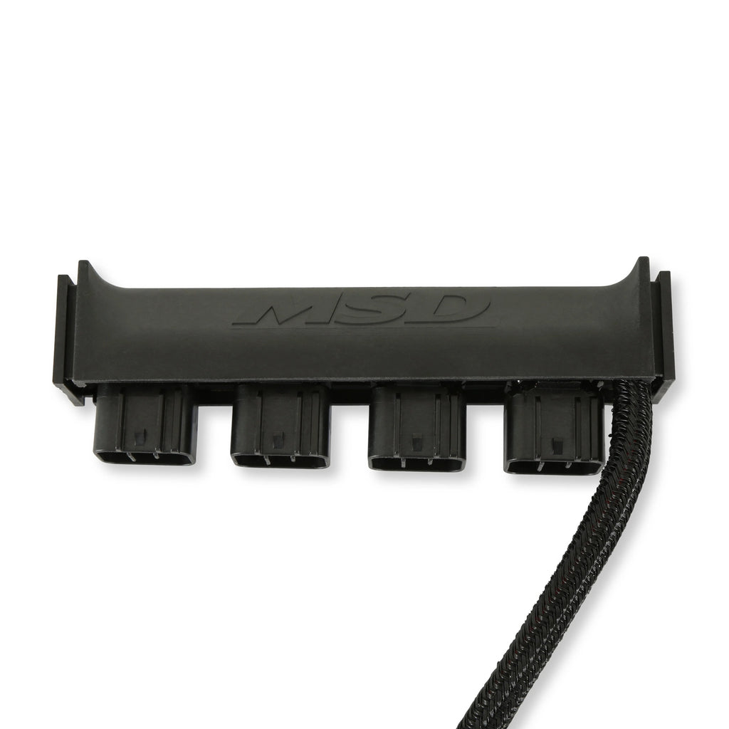 MSD77403.jpg