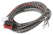 Load image into Gallery viewer, MSD Repl. Main Coil Harness For #8000