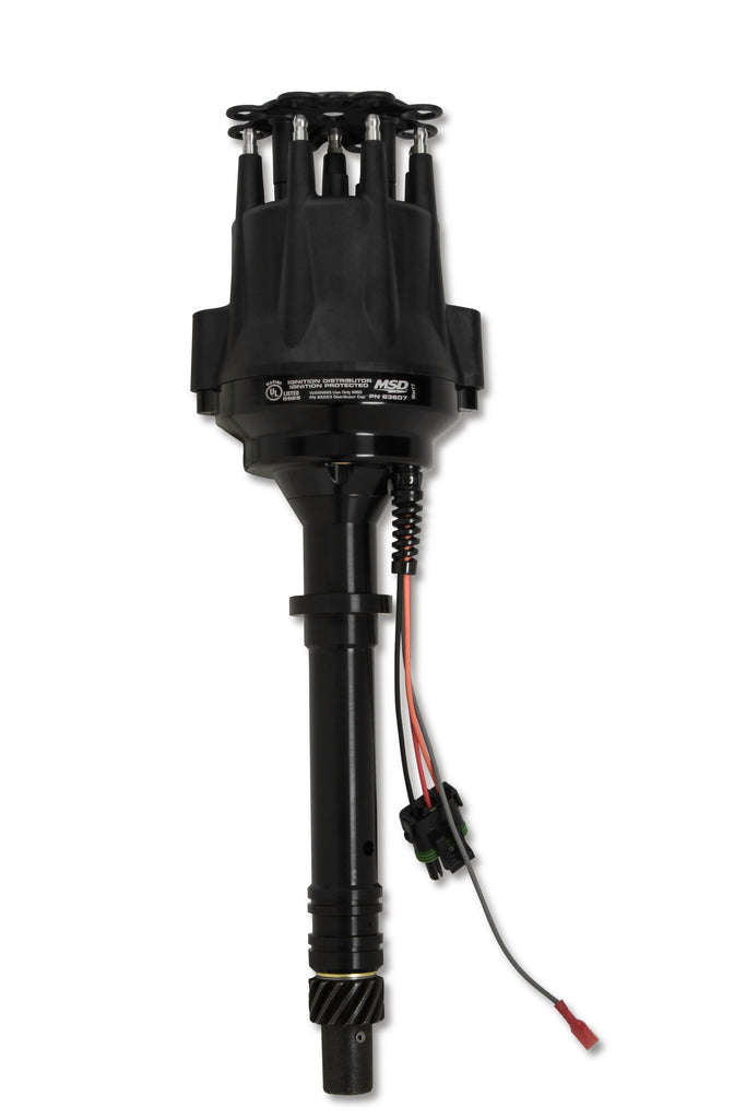 MSD83607.jpg