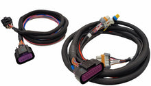 Load image into Gallery viewer, MSD Harness - LS Ignition Control Box