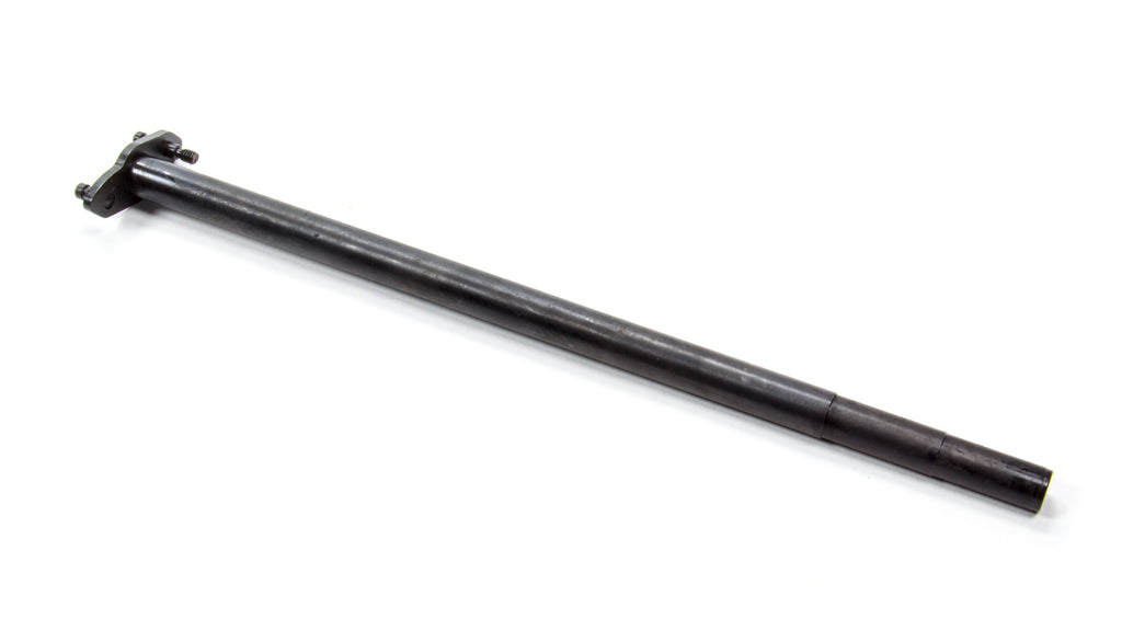 MSDASY11165.jpg