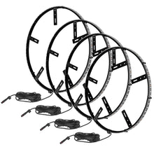 Load image into Gallery viewer, ORA4215-001.jpg