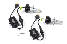 Load image into Gallery viewer, ORA5231-001.jpg