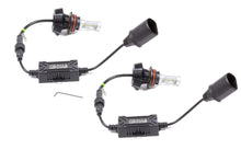 Load image into Gallery viewer, ORA5241-001.jpg