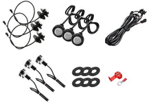 Load image into Gallery viewer, ORA5871-005.jpg